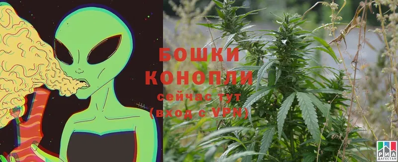 Канабис SATIVA & INDICA  наркотики  Удомля 